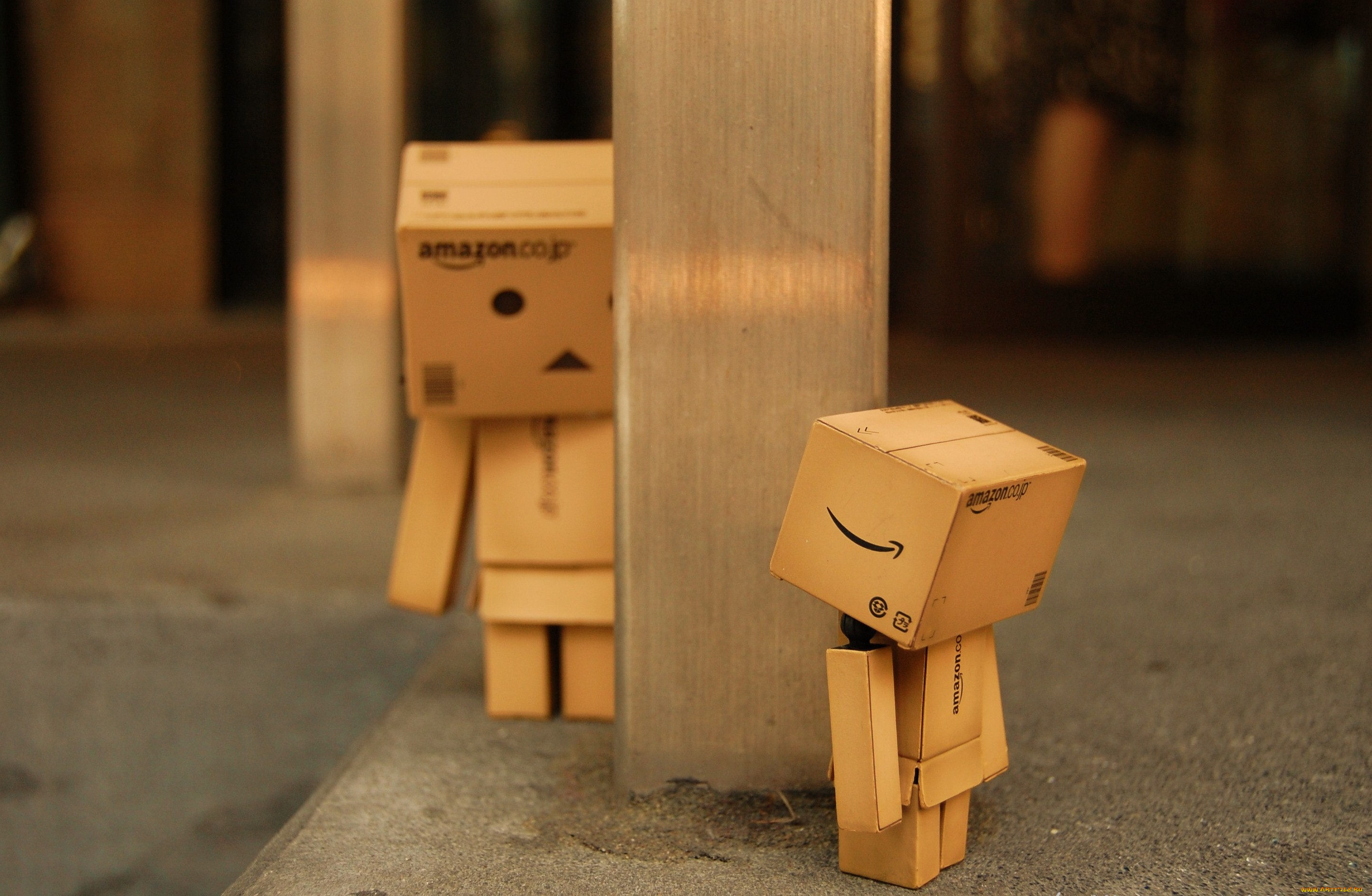 , , danboard